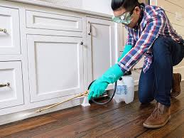 Best Pest Exclusion Services  in Carthage, TX